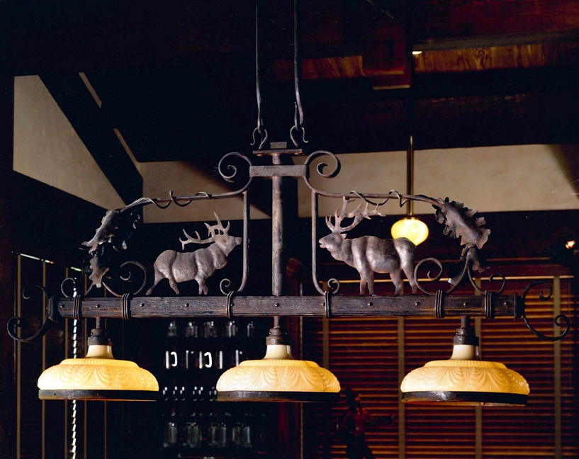 WC20 Custom Lighting - Page 13